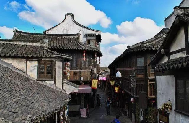泡沫森林